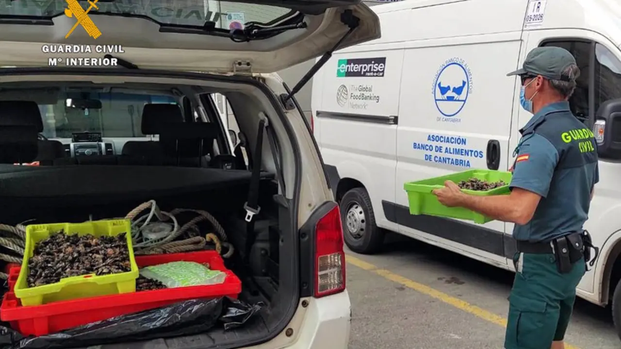  Entrega al Banco de Alimentos de percebes intervenidos por la Guardia Civil