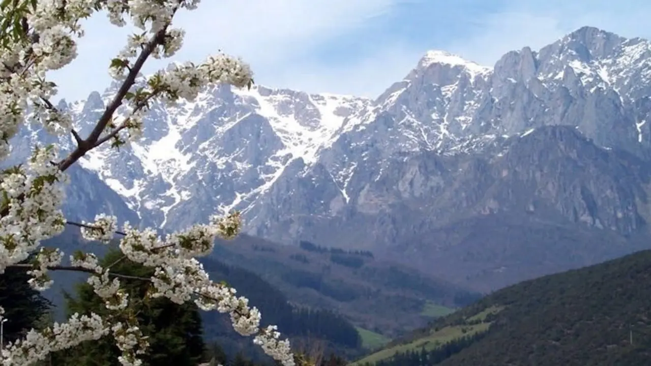Picos de Europa