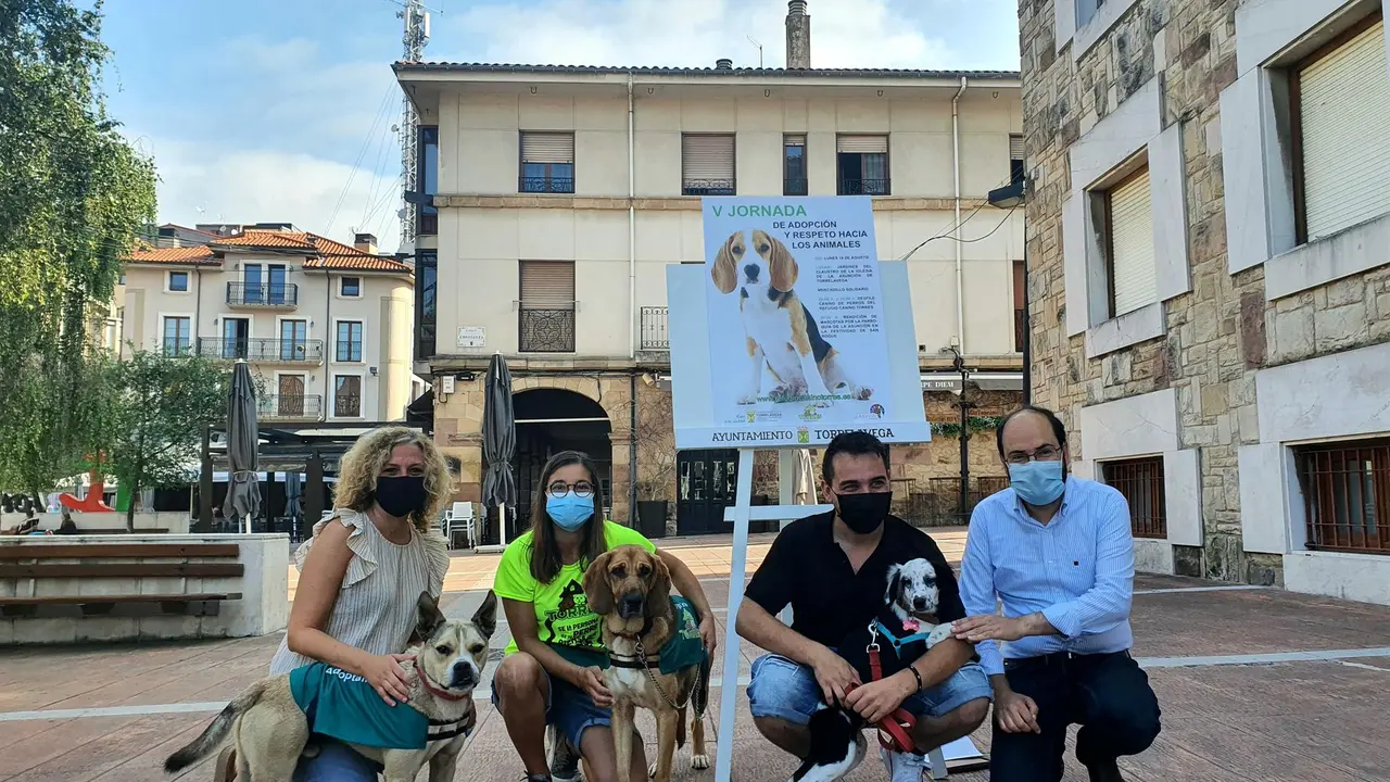 Feria adopción animales.