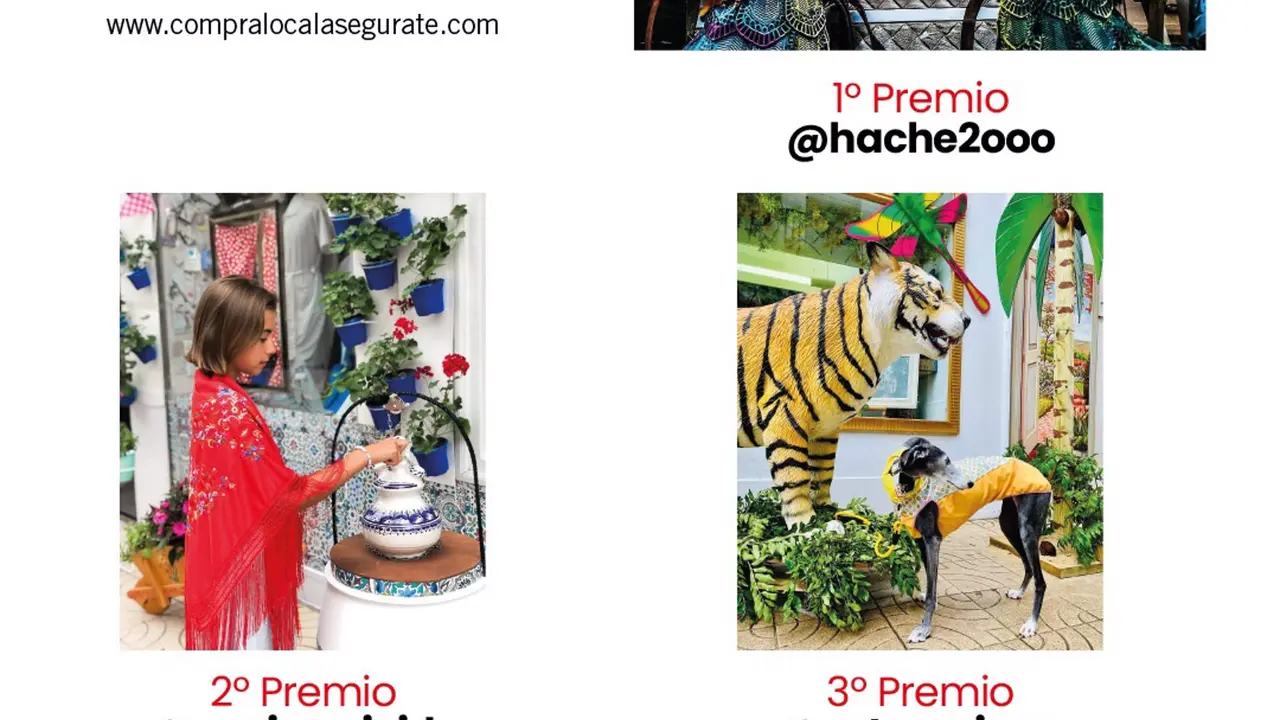 Imágenes ganadoras del concurso 'Escaparate compartido'