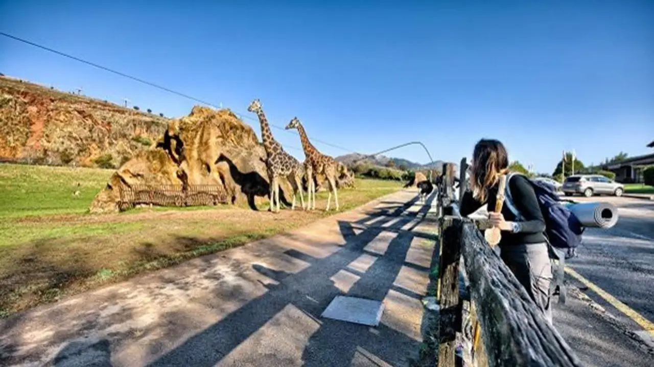 Recinto de las jirafas de Cabárceno
