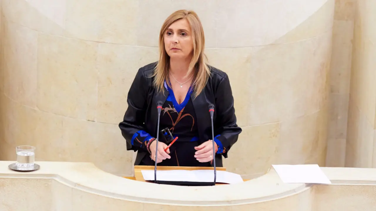 La portavoz del PSOE Cantabria en el Parlamento autonómico, Noelia Cobo