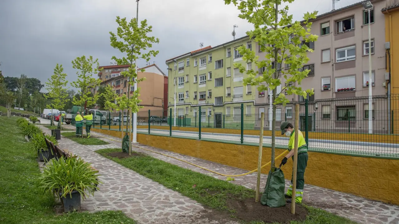 Imagen de una zona arbolada en Torrelavega