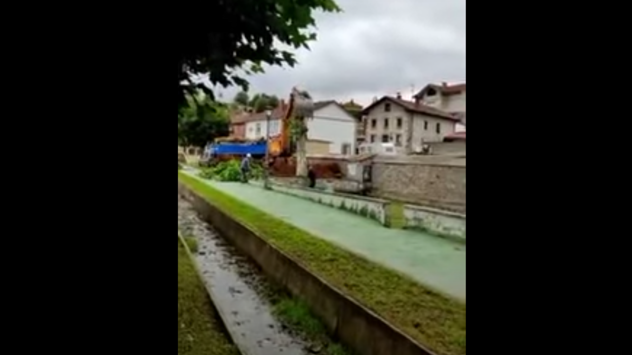 Cantabristas ha denunciado p&uacute;blicamente la tala de m&aacute;s de una decena de &aacute;rboles centenarios en Bolmir