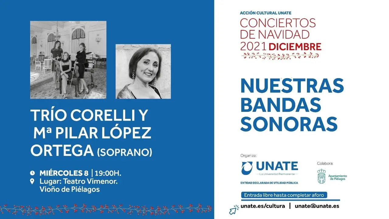 Cartel del concierto de bandas sonoras