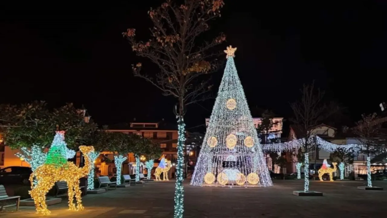 Luces de Navidad