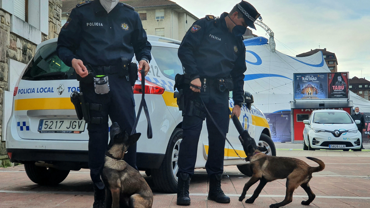 La Polic&iacute;a Local de Torrelavega incorpora una Unidad Canina dos ejemplares de pastor belga