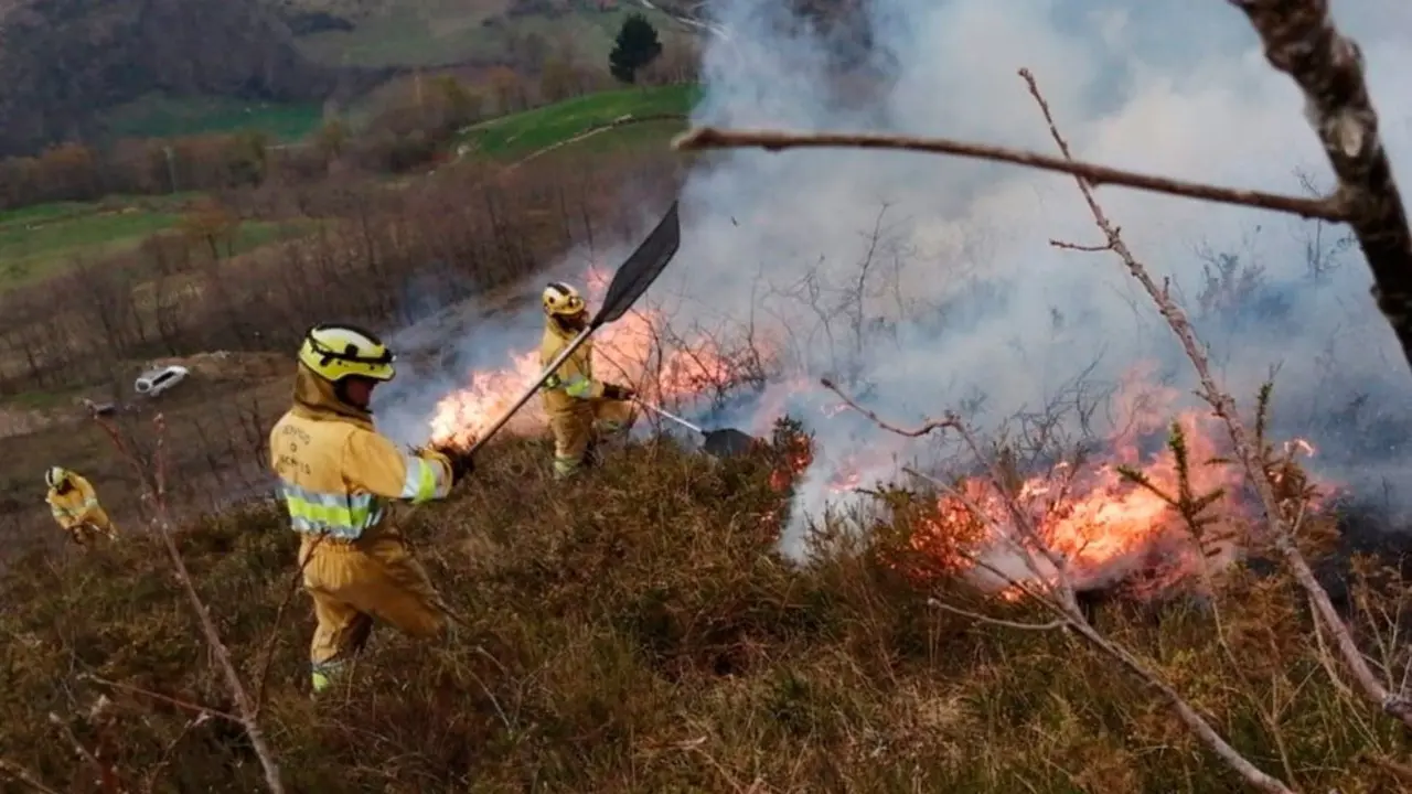 Extinción de un incendio forestal | Foto- Archivo