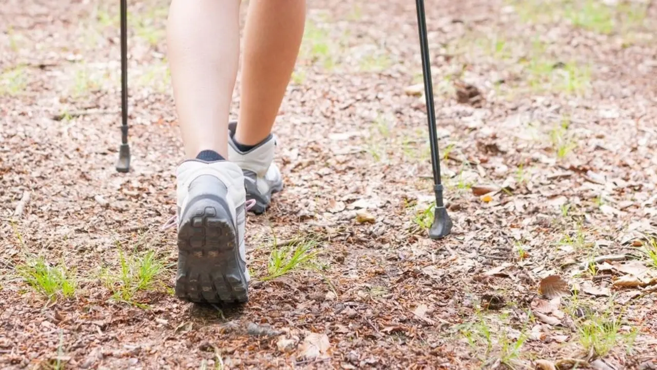 Marcha n&oacute;rdica