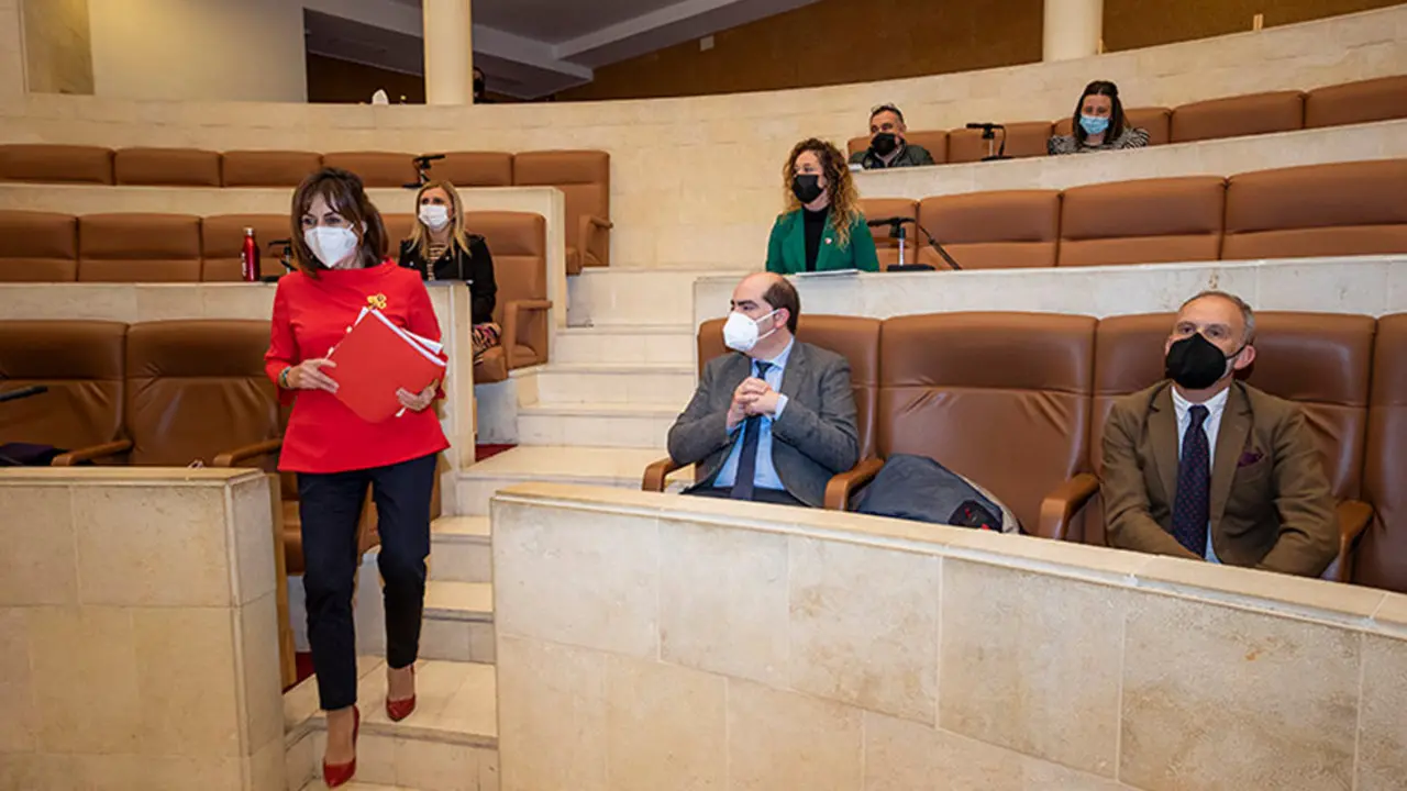 Imagen de la consejera de Empleo y Políticas, Ana Belén Álvarez, en la Comisión de Empleo del Parlamento para dar cuenta del Plan de Empleo Joven de Cantabria.