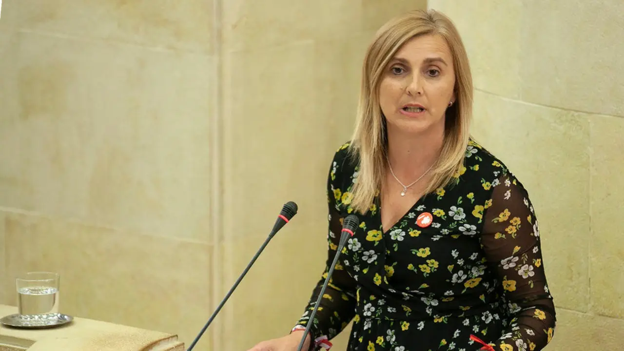 La portavoz del PSOE en el Parlamento de Cantabria, Noelia Cobo