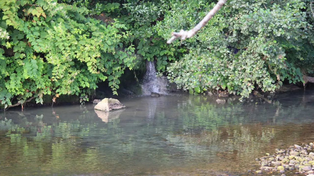 Vertido en Puente San Miguel