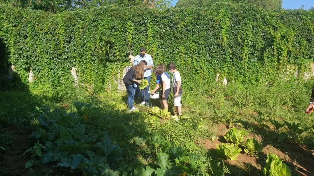 Actividad con escolares