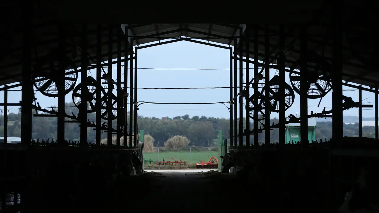 Vista del interior de las instalaciones de una granja