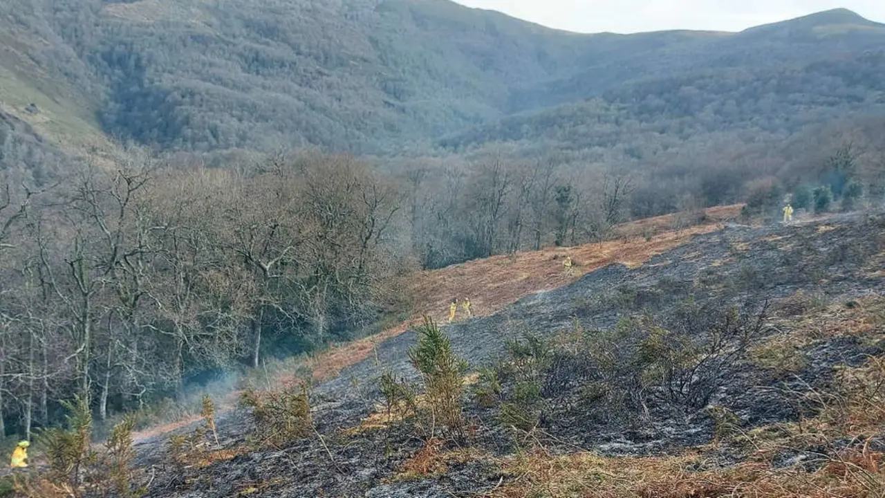 Incendio provocado en el monte Canales de Silió, en Molledo