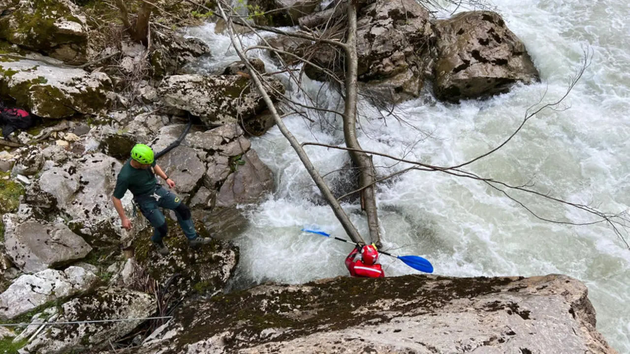  Imagen de la búsqueda