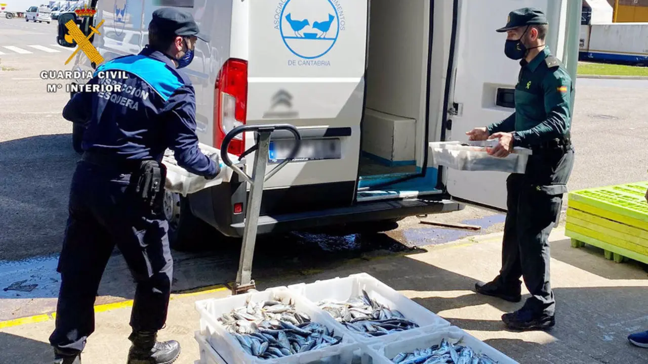 Imagen de la intervención