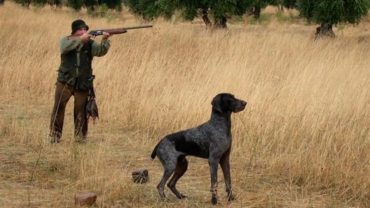 La normativa permite la presencia de menores en las cacerías