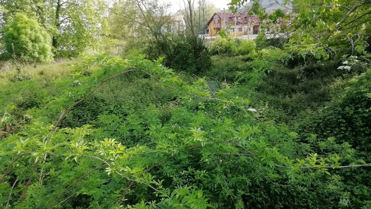 Finca en la que se ubicaba la casa natal del poeta Jos&eacute; Luis Hidalgo, en Torres