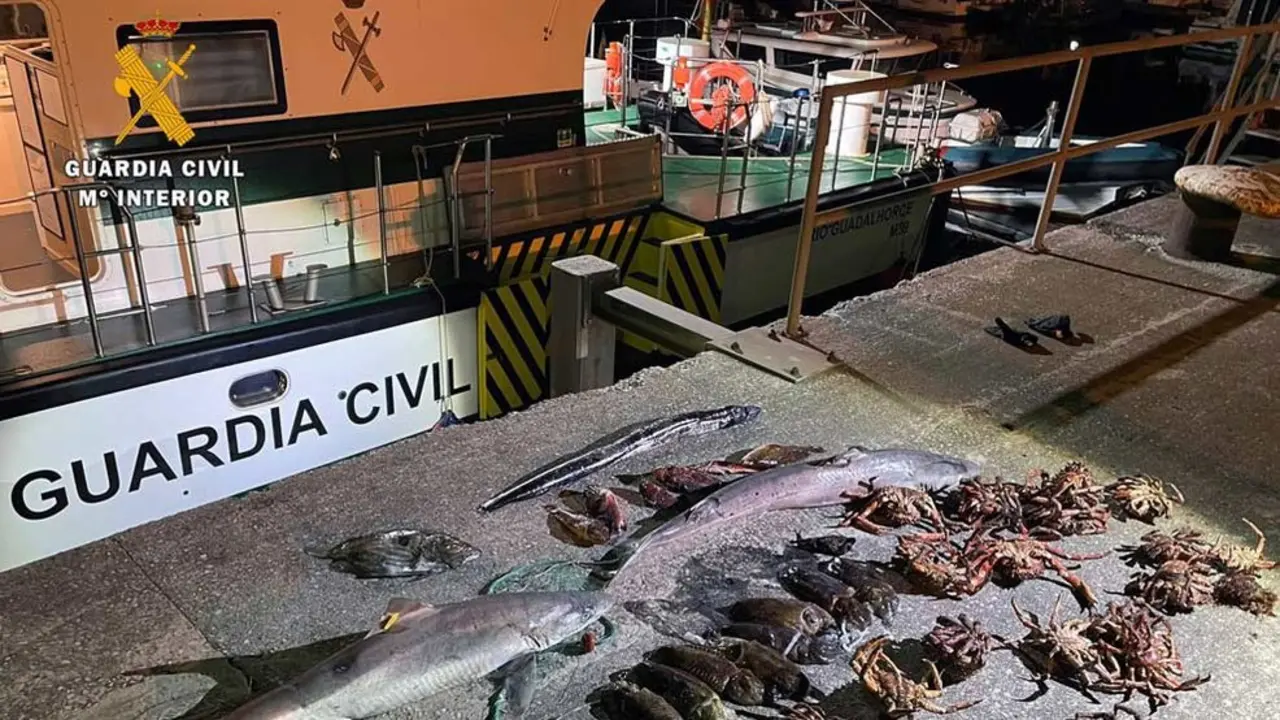 600 Metros De Red Para Pesca Furtiva