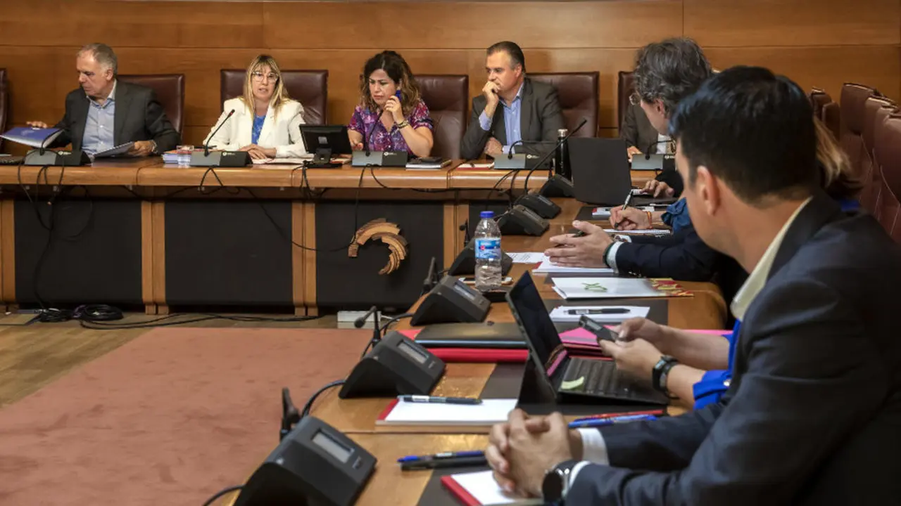 La consejera de Empleo y Políticas Sociales, Eugenia Gómez de Diego, comparece, a petición propia, ante la Comisión de Empleo del Parlamento