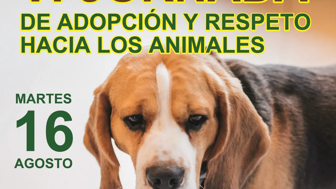 Torrelavega Celebra Este Martes La 'Vi Jornada De Adopci&oacute;n Y Respeto Hacia Los Animales'