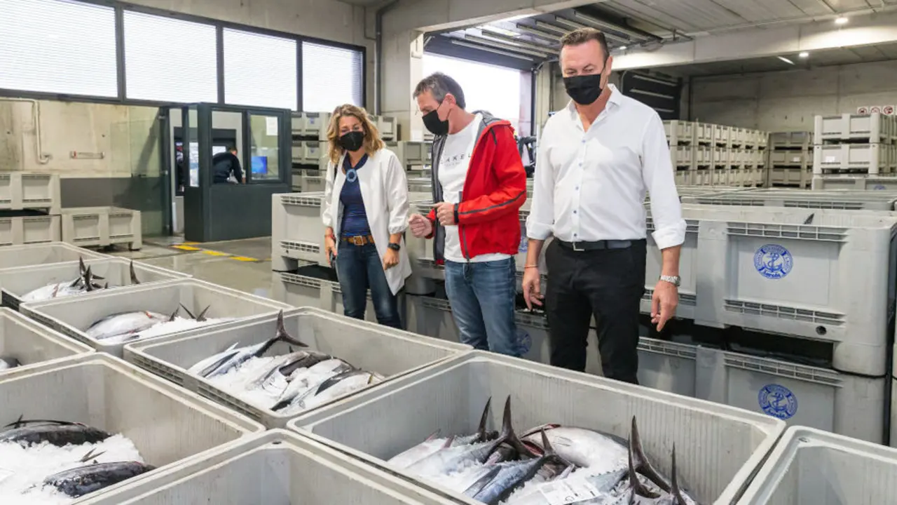 El consejero de Desarrollo Rural, Ganadería, Pesca, Alimentación y Medio Ambiente, Guillermo Blanco, asiste a la descarga de bonito en un puerto