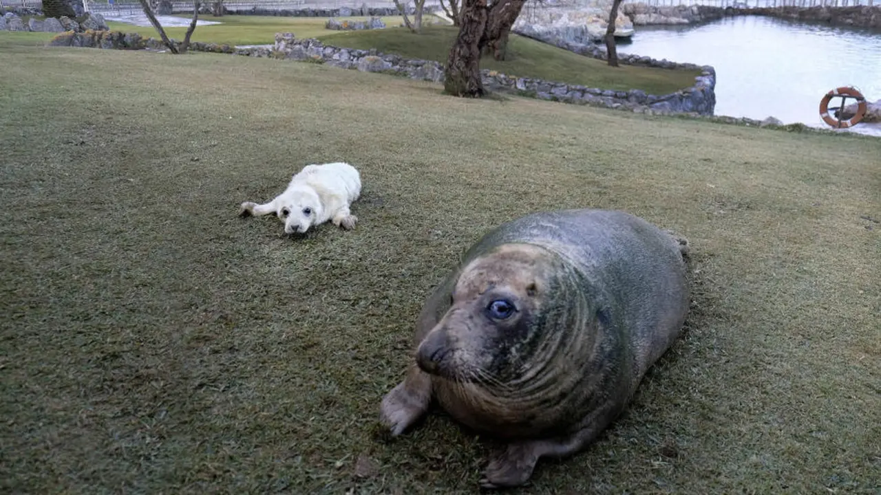 Minizoo de La Magdalena