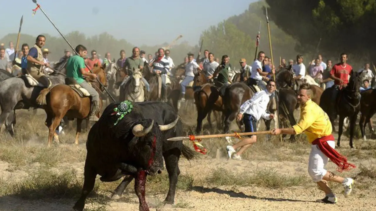 Celebración del Toro de la Vega | Foto- Archivo