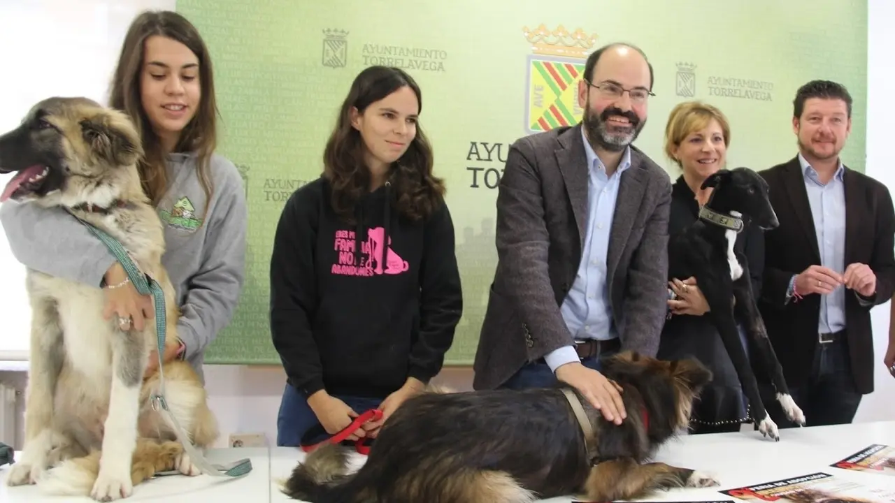 Rueda de prensa de la convocatoria de subvenciones a proyectos de bienestar animal