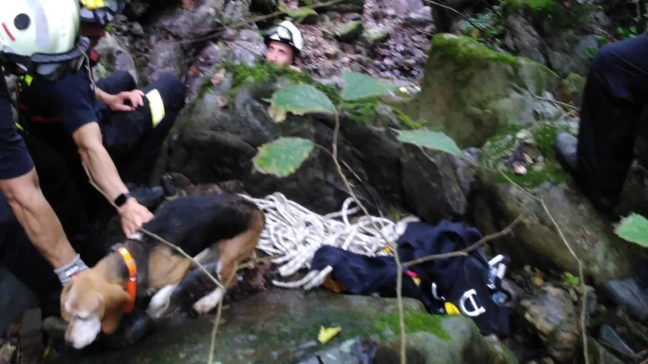 Rescate del perro | Foto- 112