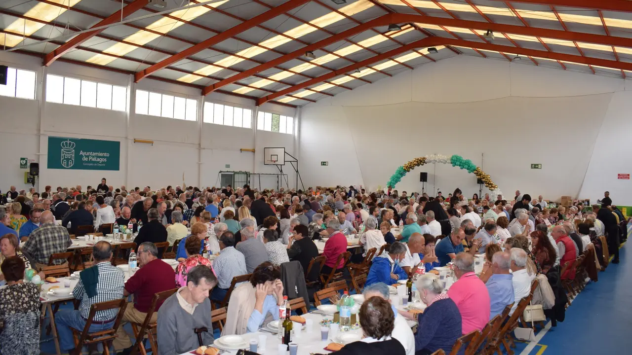 Medio millar de vecinos de Pi&eacute;lagos mayores de 60 a&ntilde;os comparten mesa en la tradicional comida de hermandad en Vio&ntilde;o