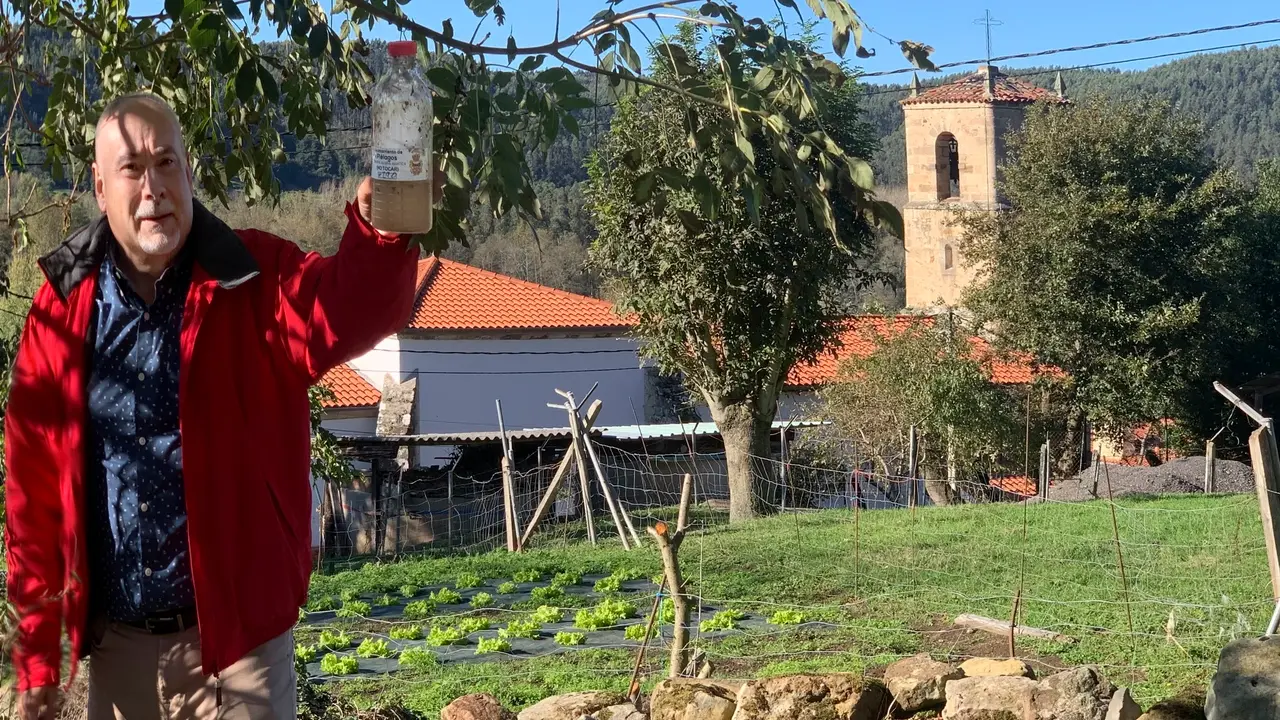 Trampeo avispa asi&aacute;tica