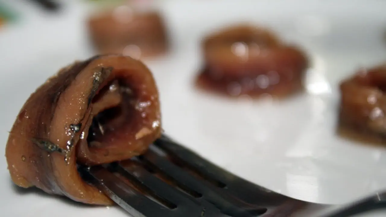 Anchoa del cantábrico