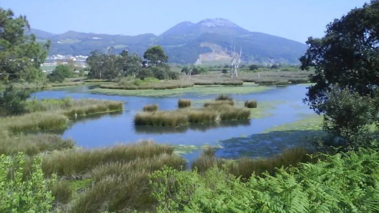 Parque Natural de las Marismas de Santoña, Victoria y Joyel