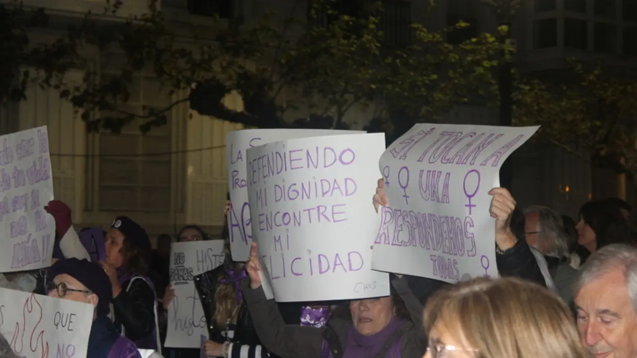 Pancartas de la manifestación contra la violencia de género en Santander el 25N | Foto- edc