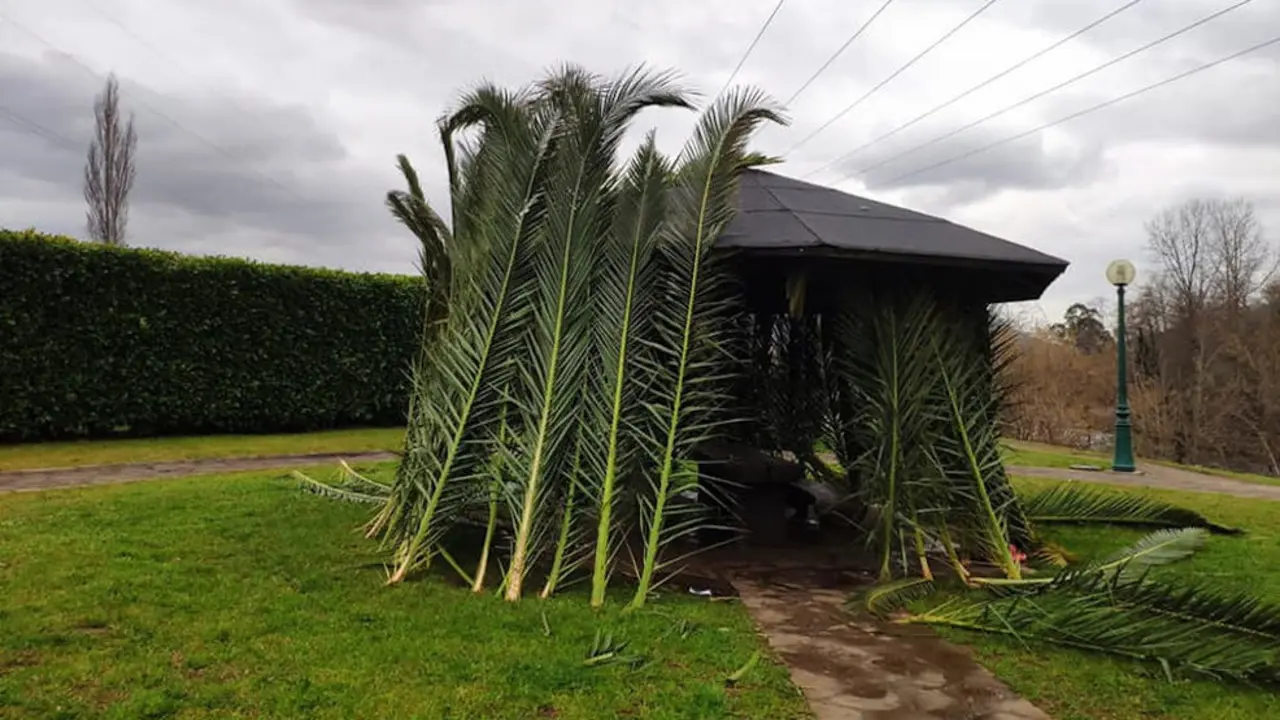 Foto- Twiiter de Torrelavega se Mueve