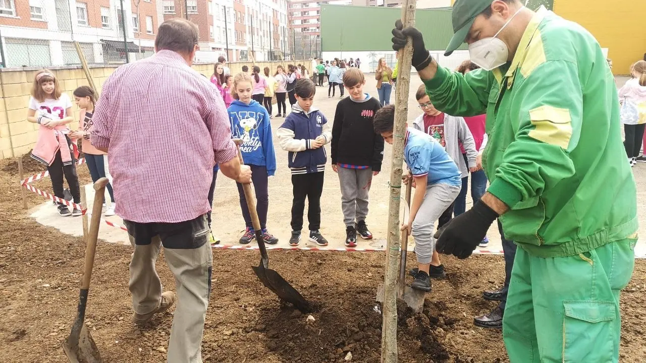 Alumnos del Colegio Cervantes de Torrelavega cambian el hormig&oacute;n de su patio por &aacute;rboles y c&eacute;sped