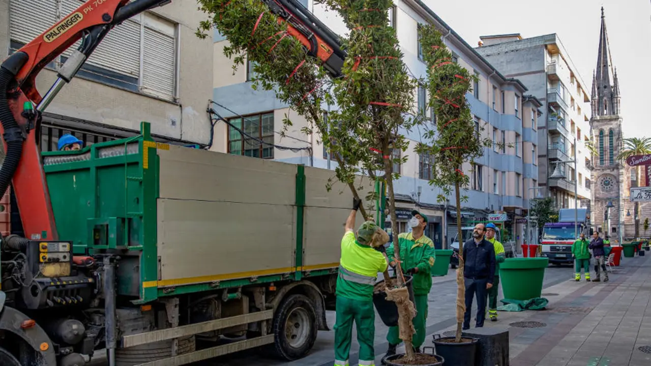 El Ayuntamiento coloca las jardineras que darán color a la calle