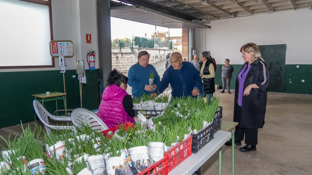 La alcaldesa de Polanco, Rosa D&iacute;az, participa en el reparto de plantas de cebolla en el inicio de la campa&ntilde;a de huertos naturales