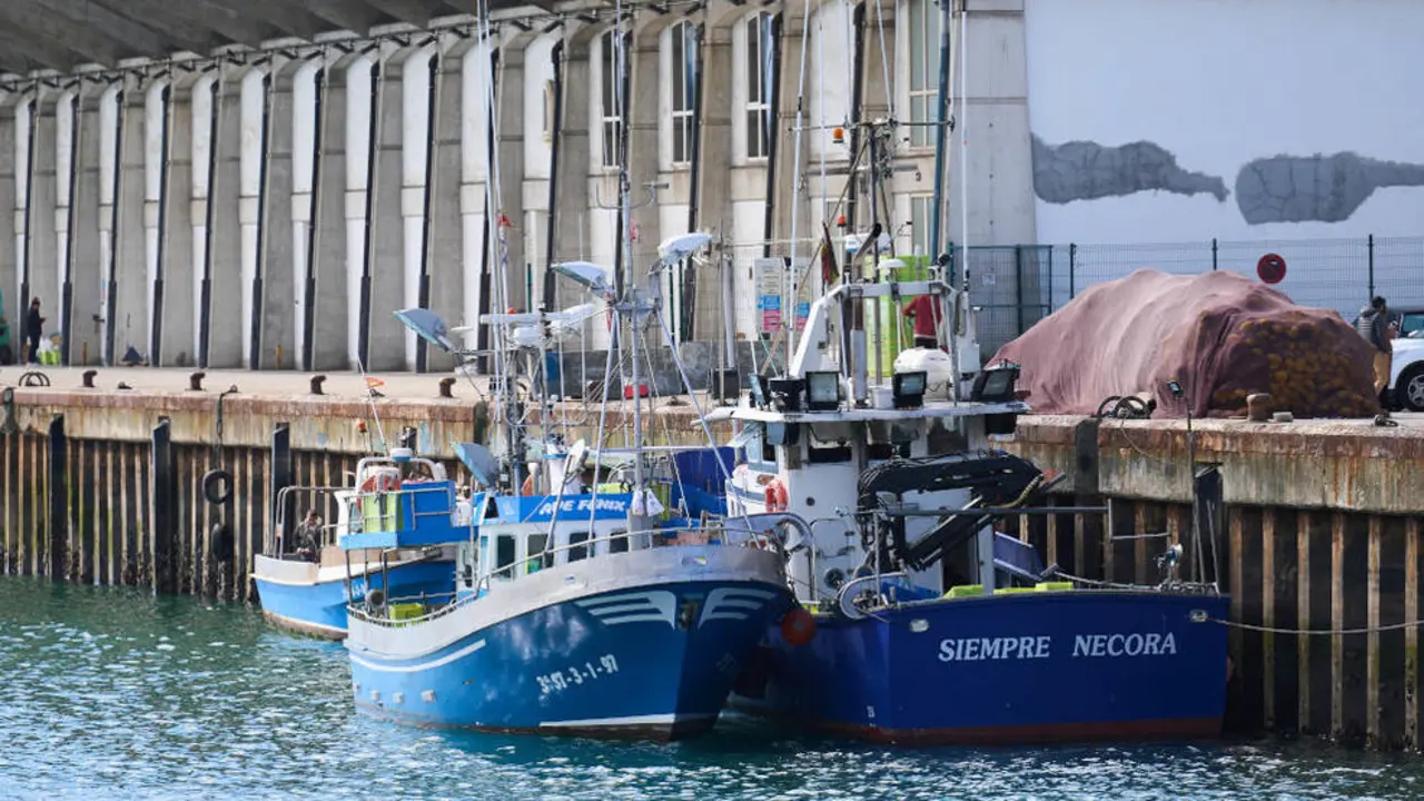 Dispositivo de rescate 'Siempre Necora'