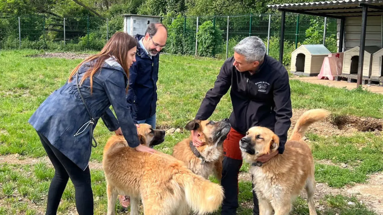 Pablo Zuloaga y José Luis Urraca en el refugio canino de Torres