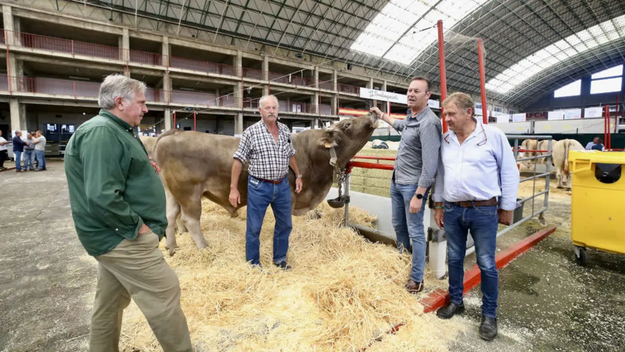 El Mercado Nacional de Ganados de Torrelavega acoge la VII Feria Agroganadera de Razas Cárnicas