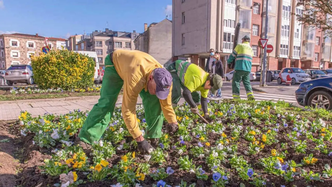 Trabajadores del SERCA