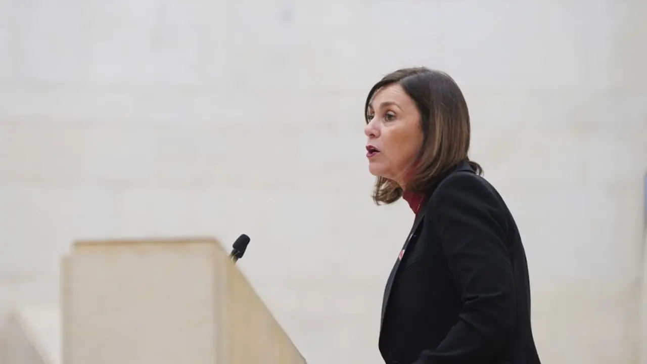 La consejera de Presidencia, Paula Fern&aacute;ndez, en el Parlamento