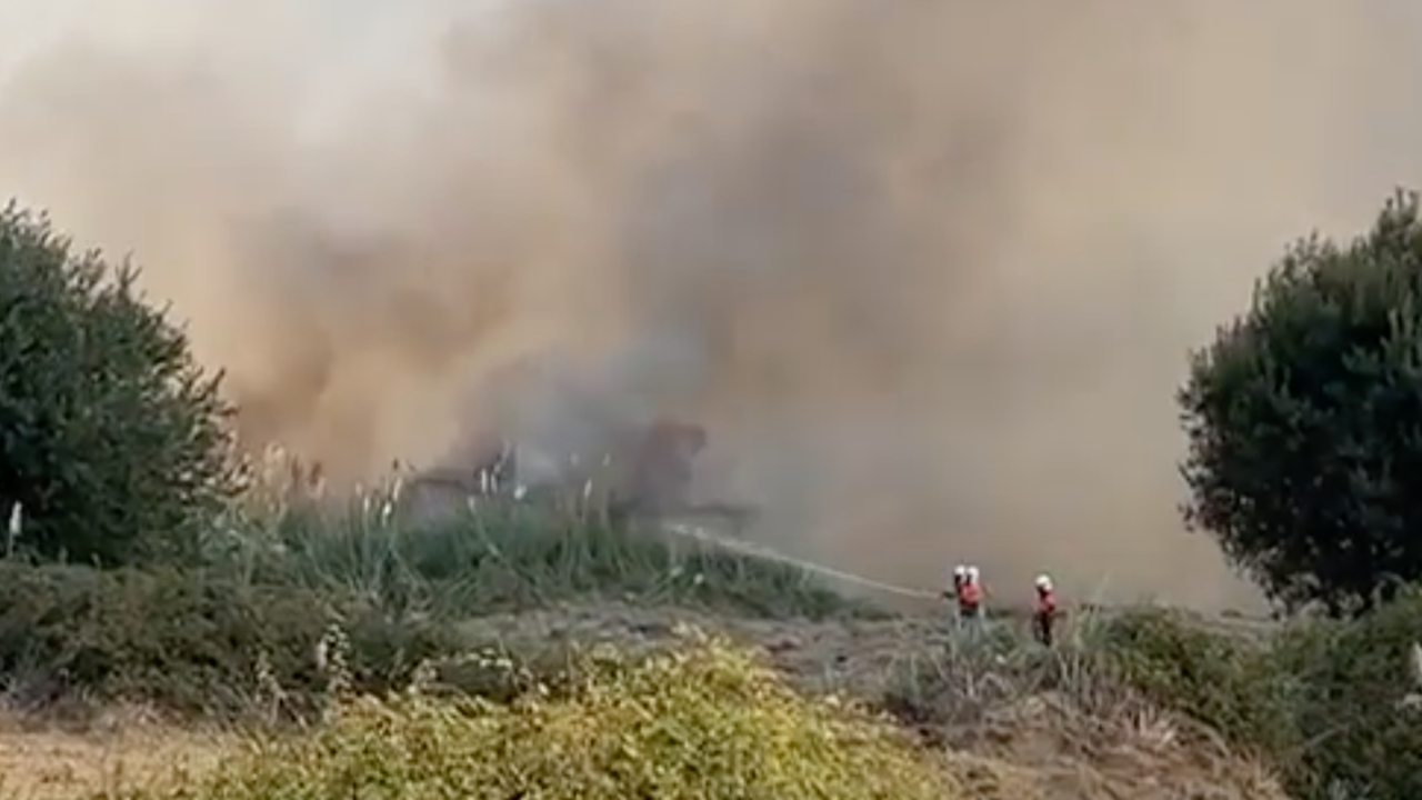 Incendio de vegetaci&oacute;n en Las Llamas | V&iacute;deo: edc