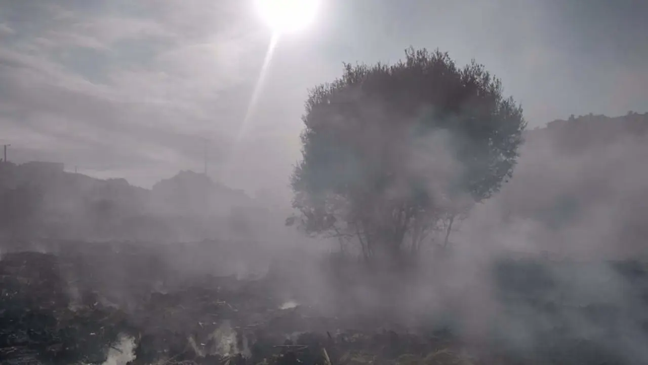 Estado de la Vaguada de Las Llamas tras el incendio | Foto- Bomberos de Santander