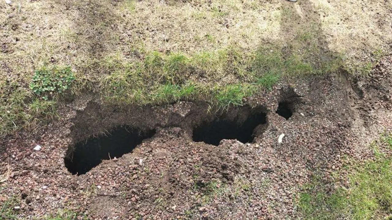 Imagen del estado del parque infantil