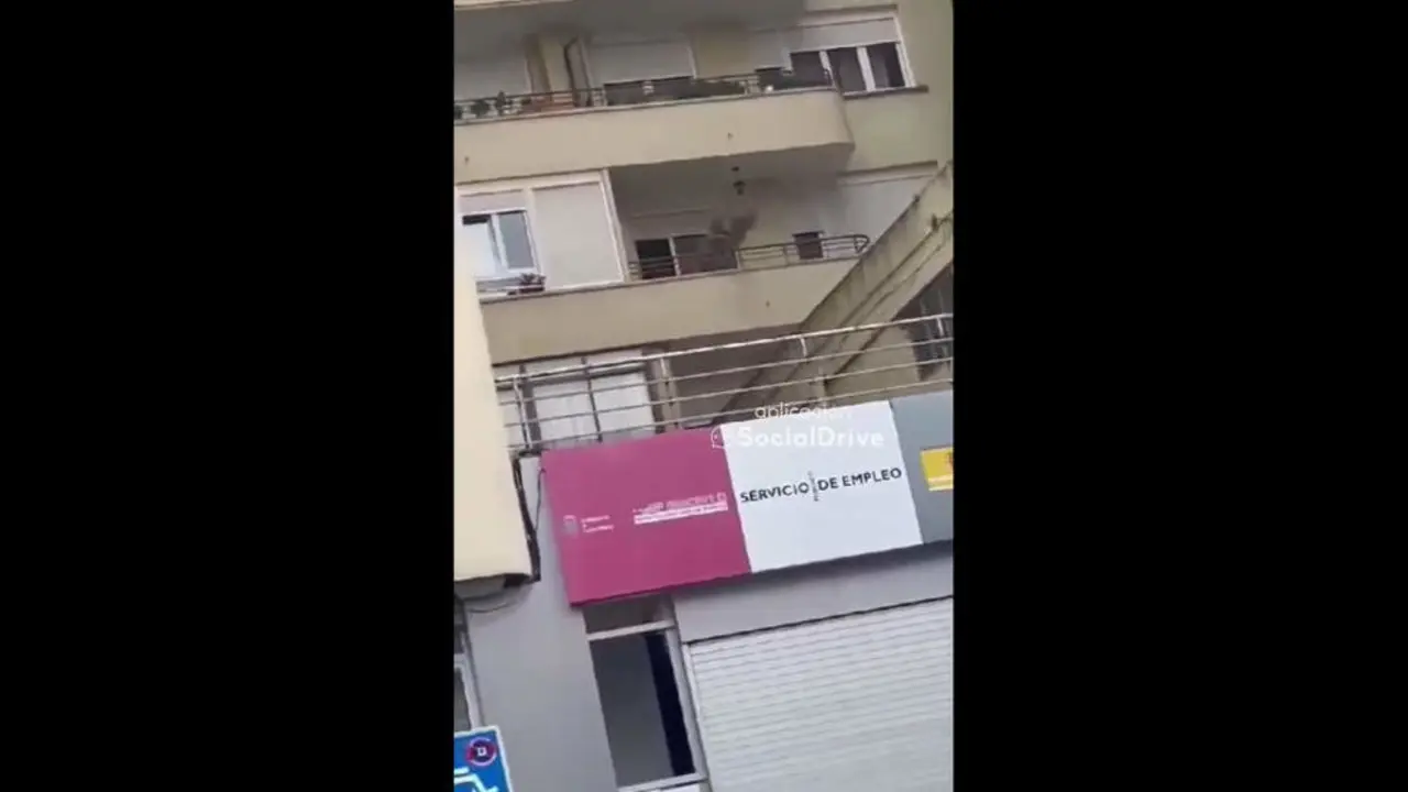 Foto- Twitter Social Drive