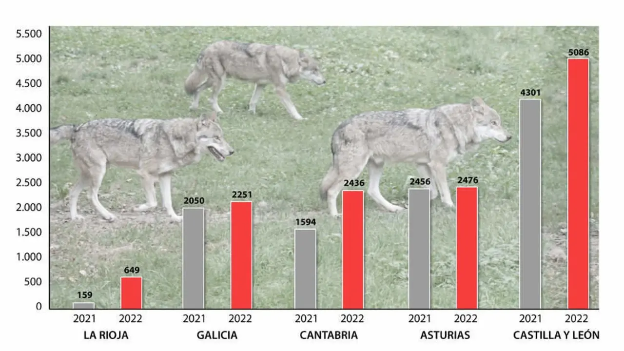 Gr&aacute;fico comparativo de los ataques de lobos en un a&ntilde;o